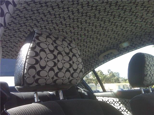 Louis Vuitton Brown Fabric Seat Cover - Spot Dem